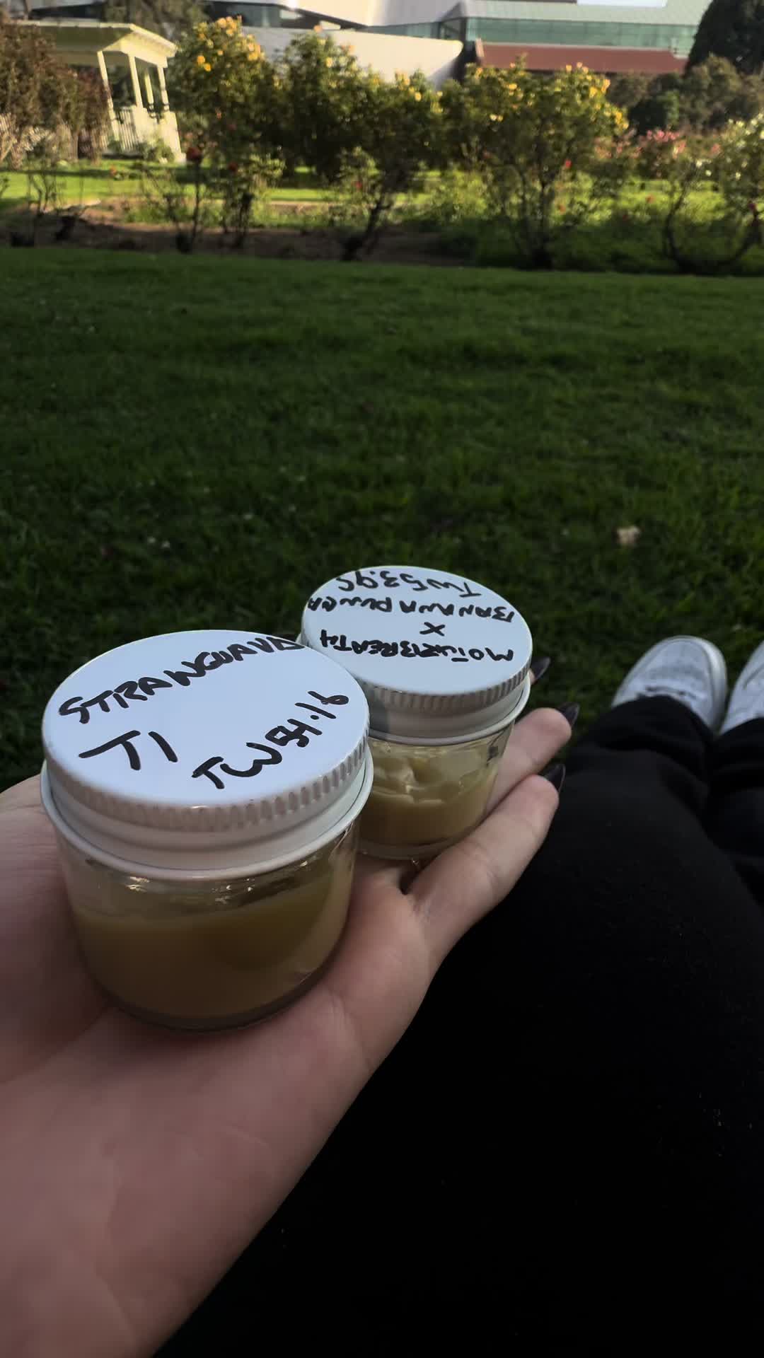 @710_fairy