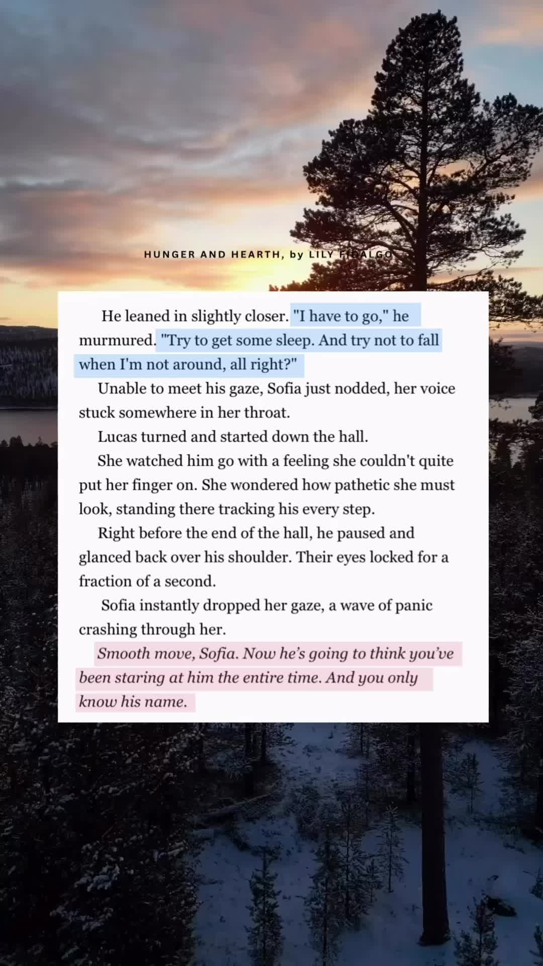 @Lily Fidalgo | Writer
