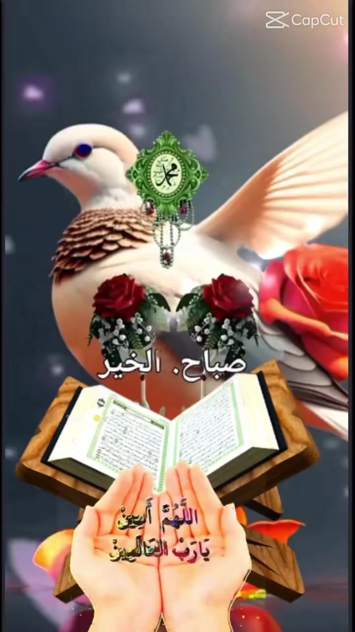 @❤️💢. 🇸🇦 Ammu. F. N🇱🇰. ❤️