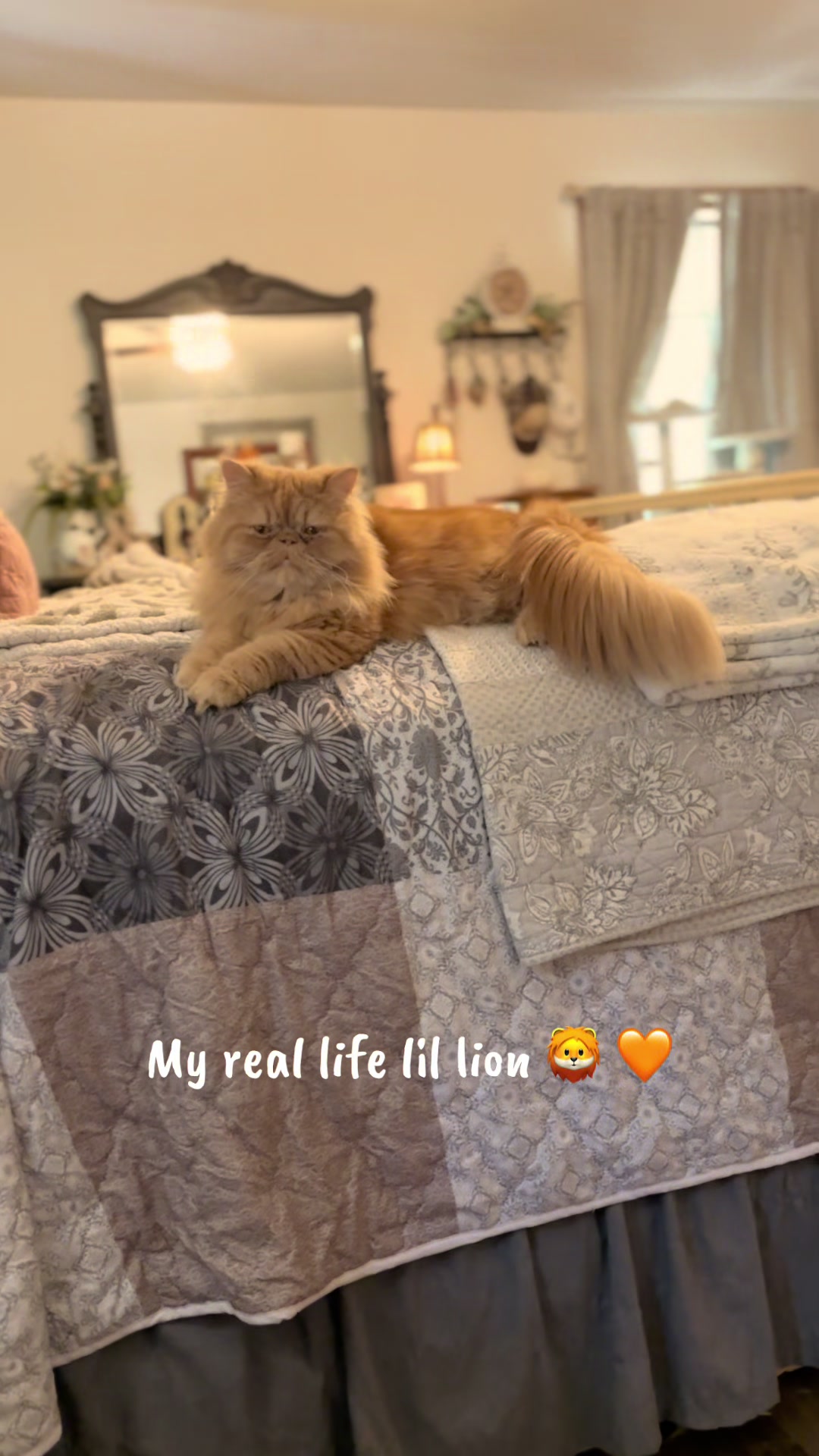 @𓃠Melissa’s𝟙𝟘LilFluffs𓃠