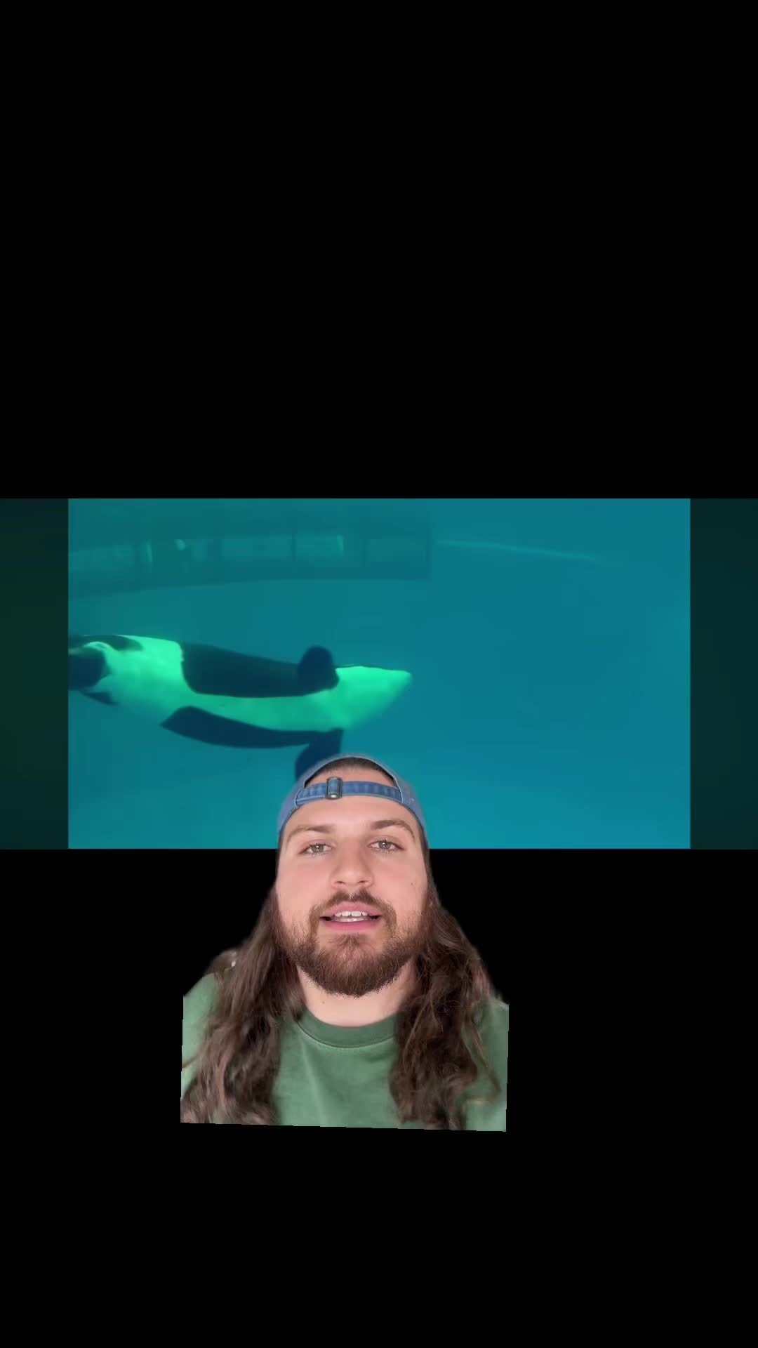 @The Orca Man