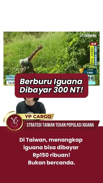 @YP Cargo