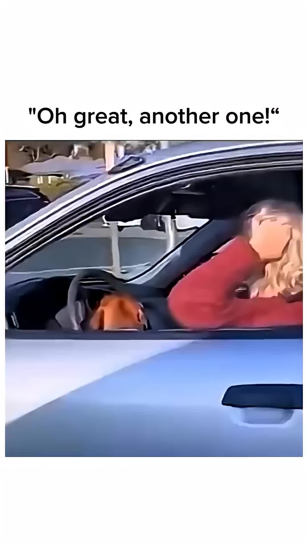 @funny clips ☑️🚩