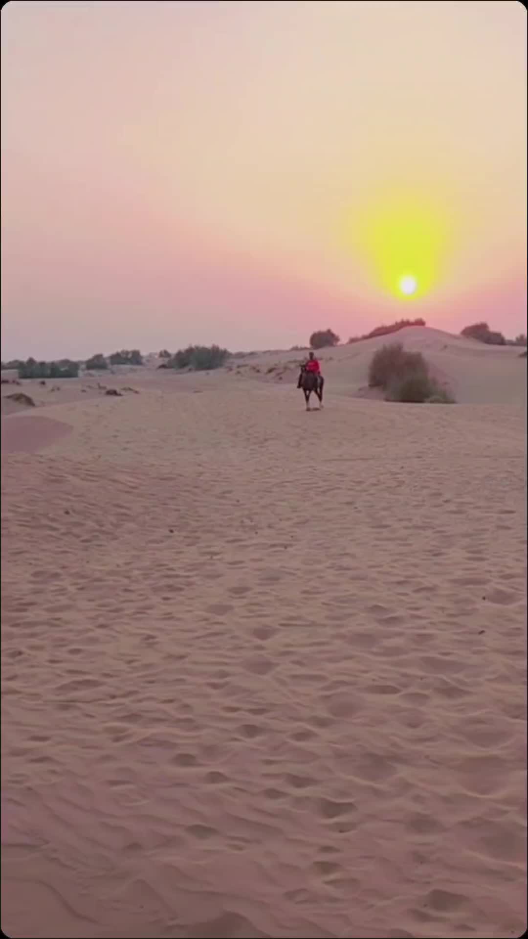 @Zuber Sheikh