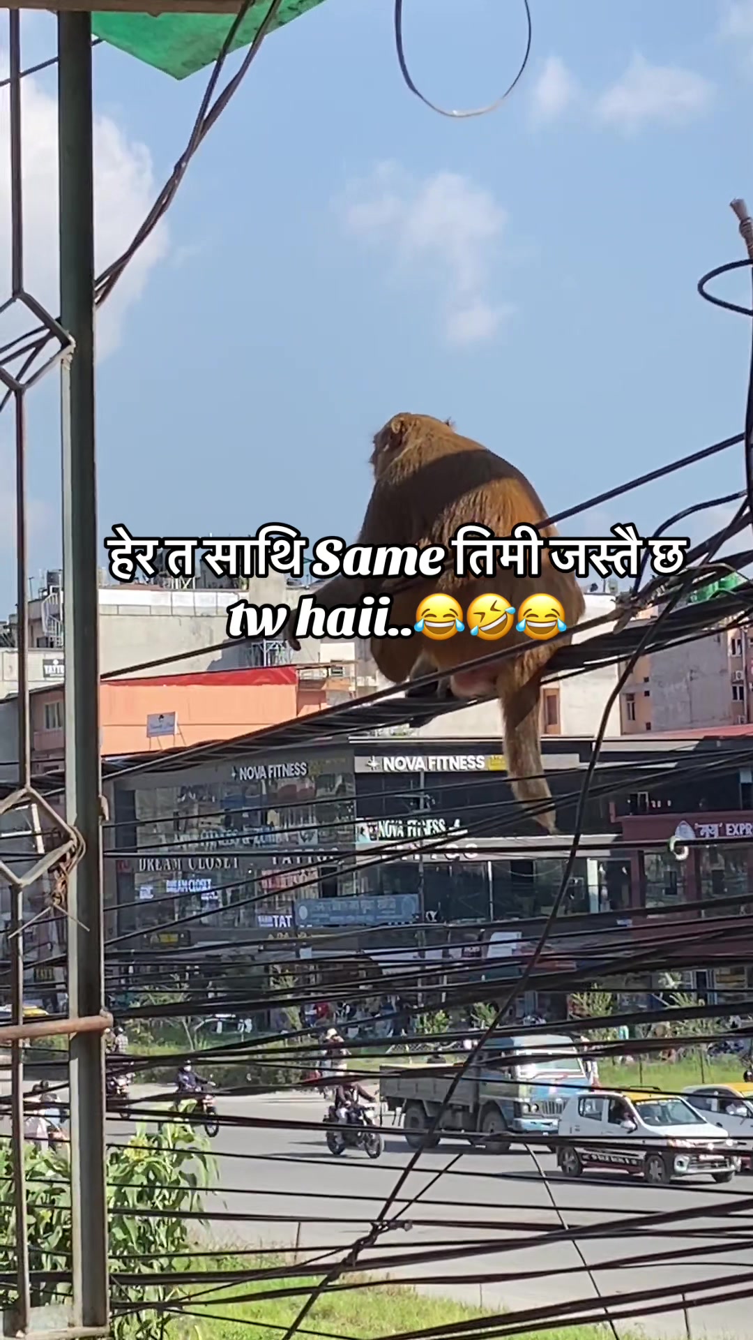 @saroj ЁЯЗ│ЁЯЗ╡ЁЯТХЁЯЗ║ЁЯЗ▓