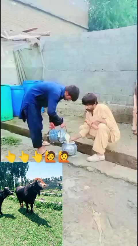 @ASAD Sarkar123