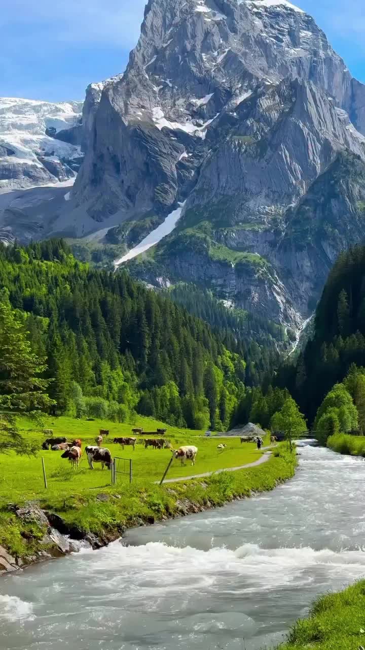 @swisstours