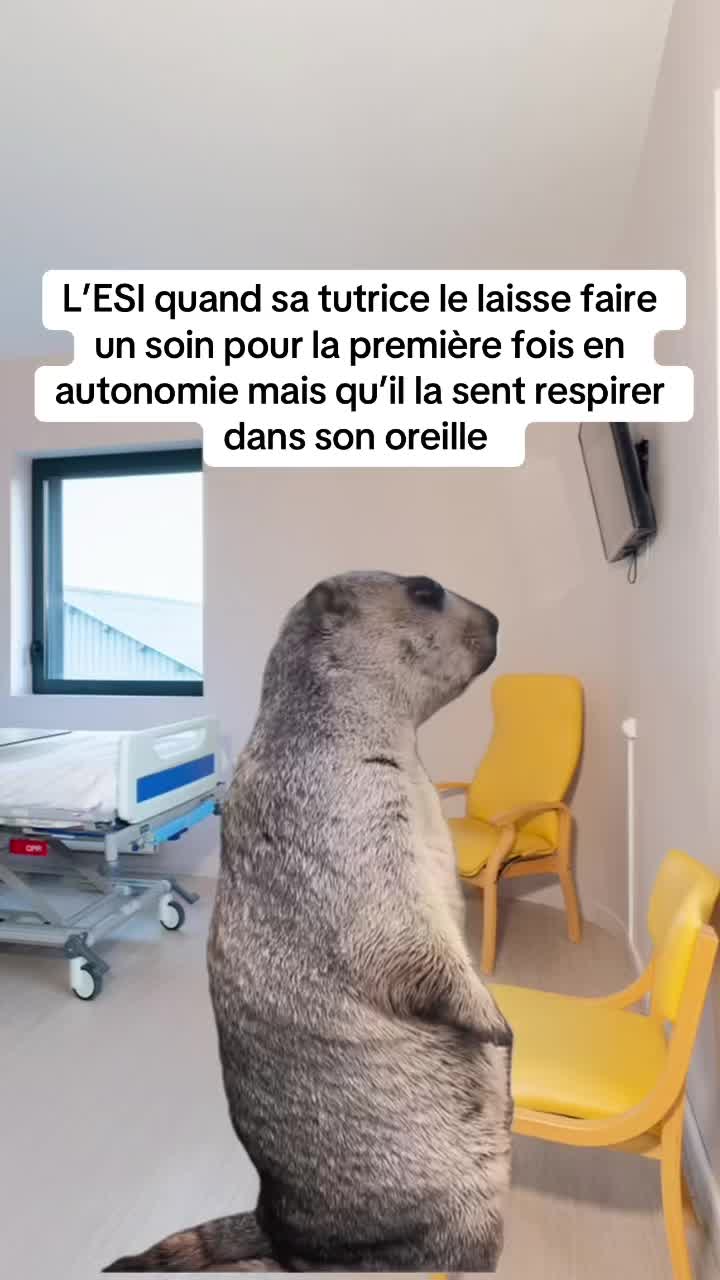 @esi_drex
