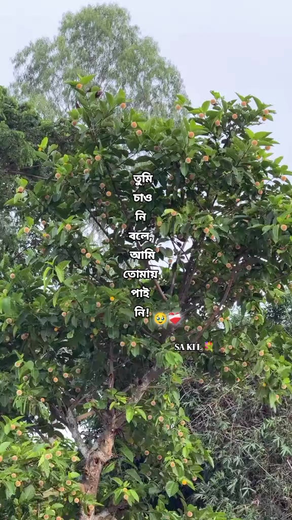 @ₕₑy ₐₘᵢ ₛₐₖᵢₗ bₒₗₜₑcᵢ 💐