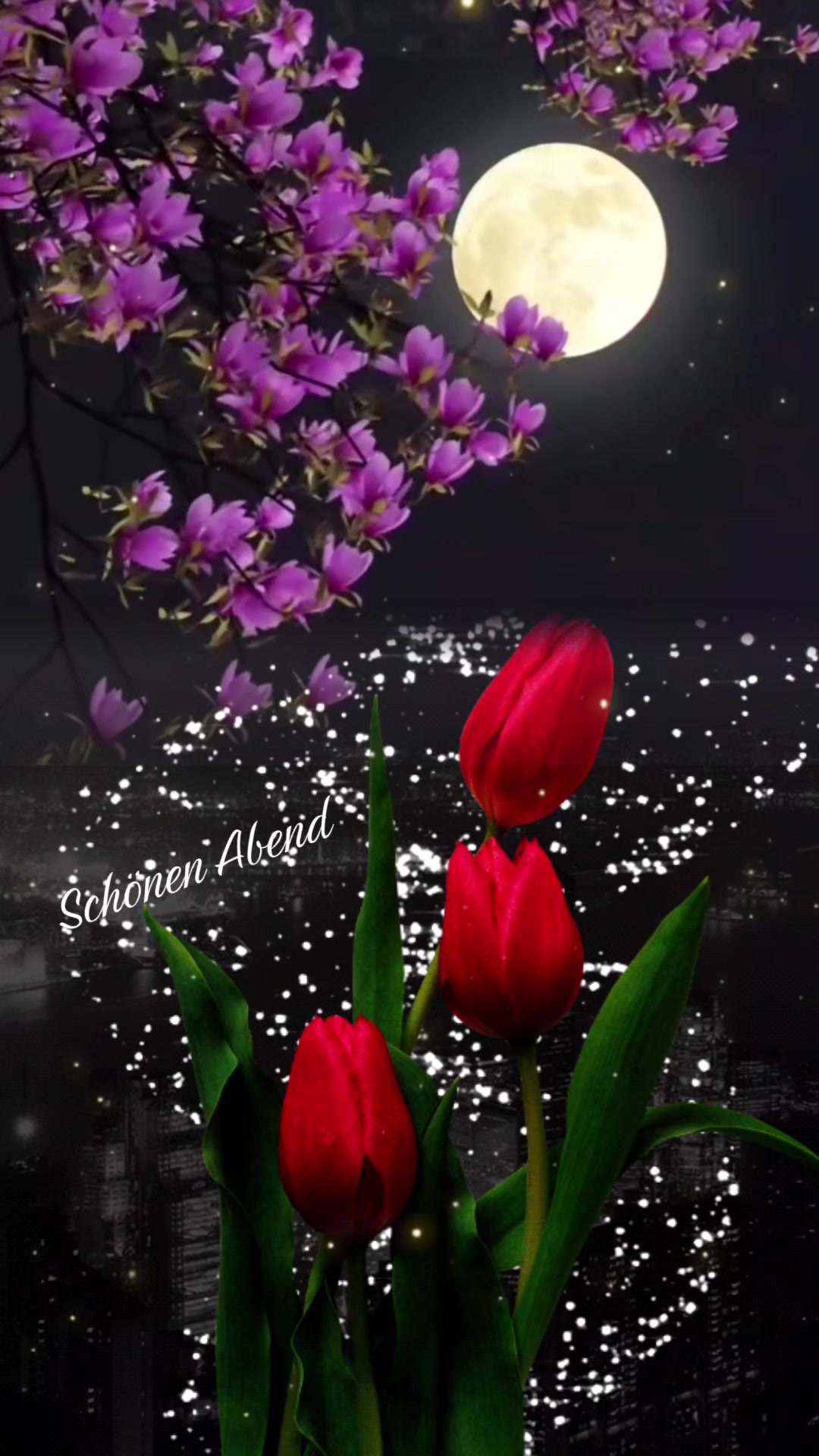 @Ani🌹💖