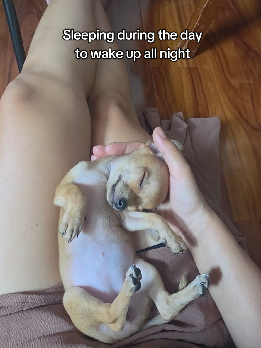 @Juju