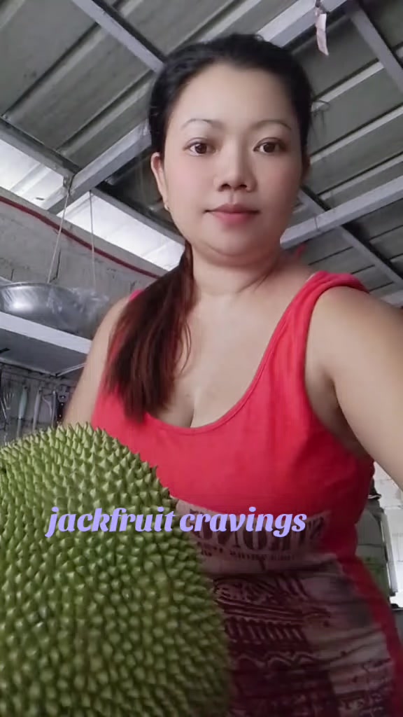 @MajoyCanicula