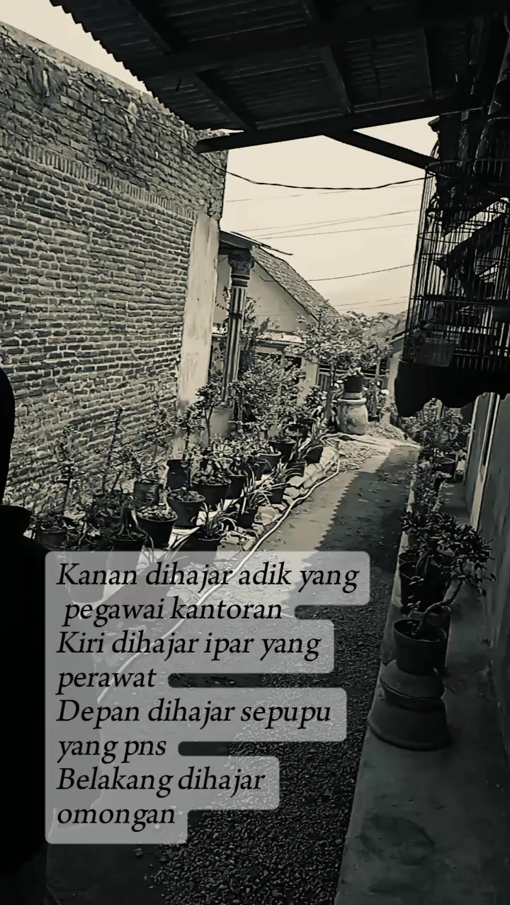 @๐ฒ๐จ๐ต๐ธ Mawar Merah ๐น