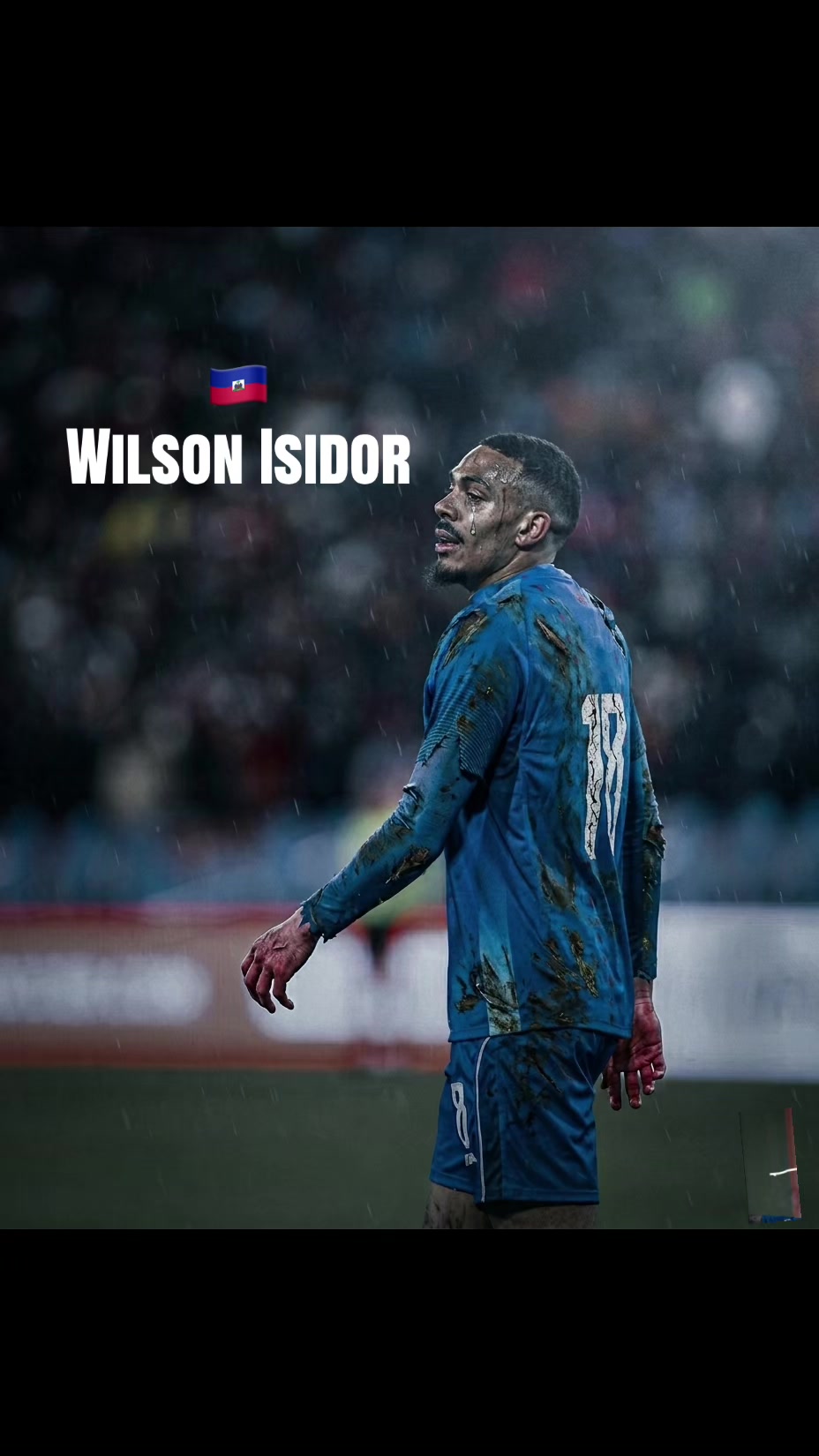 @Wilson Isidor