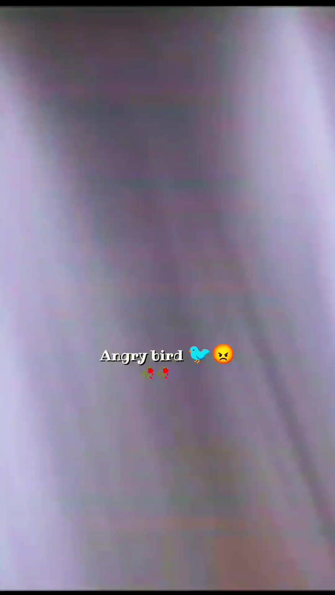 @💫𝖆𝖓𝖌𝖗𝖞 𝖇𝖎𝖗𝖉𝖘💫💥