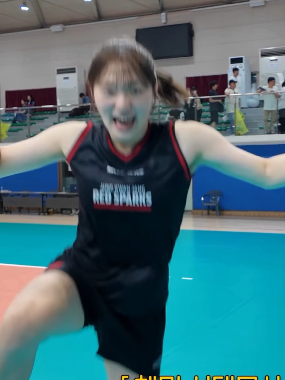 @라니아-Volleyball