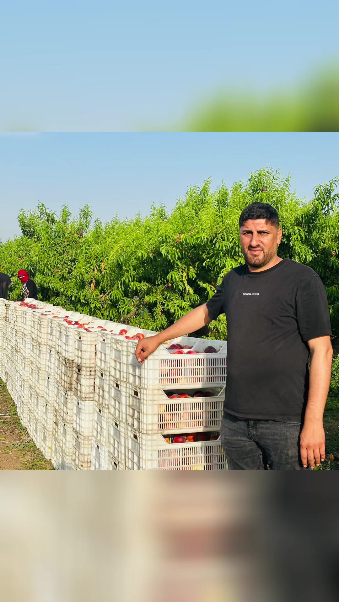 @Çavuş Botan.73