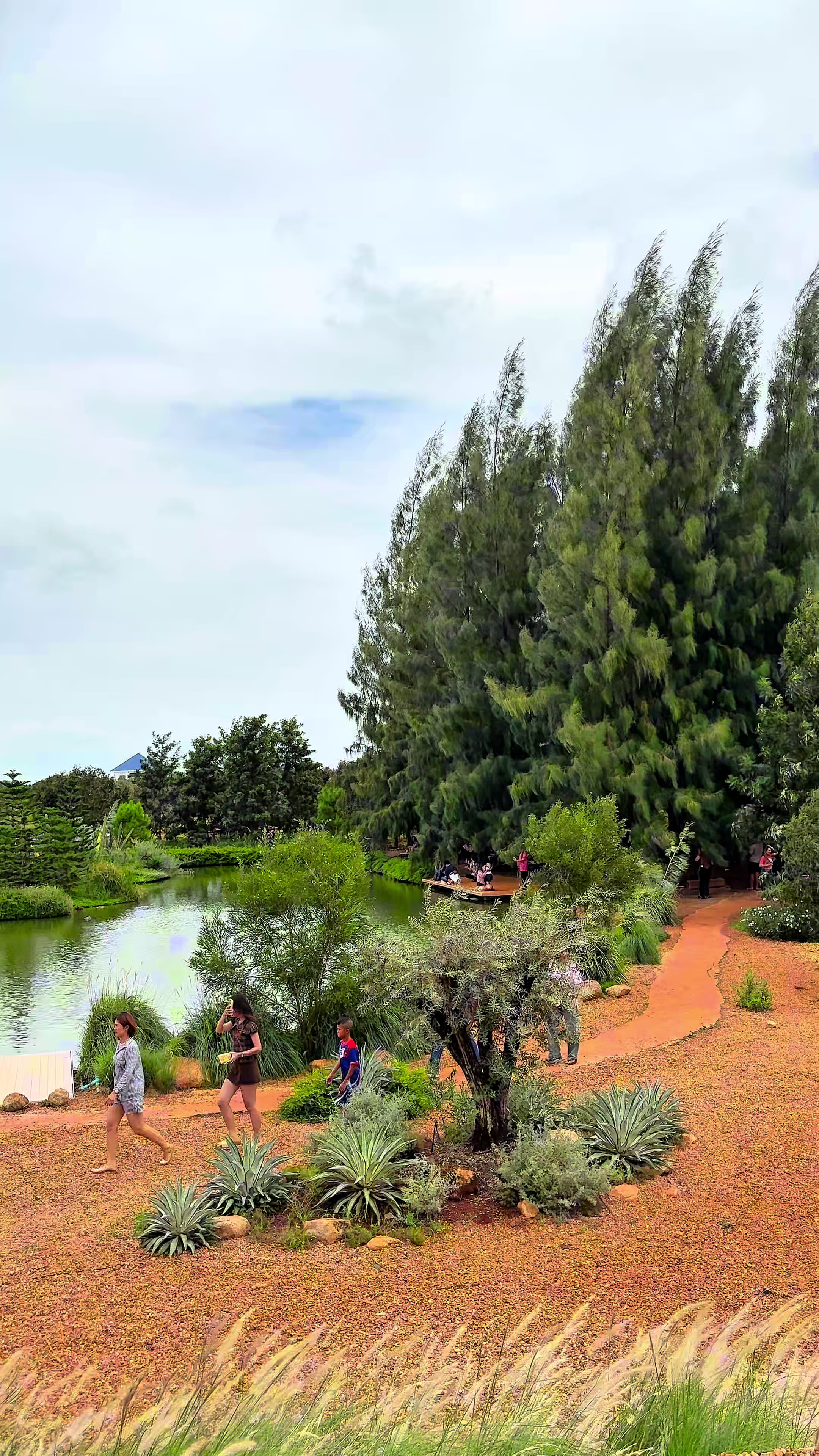 @ไร่วันยังขำ Oneyoungkham farm