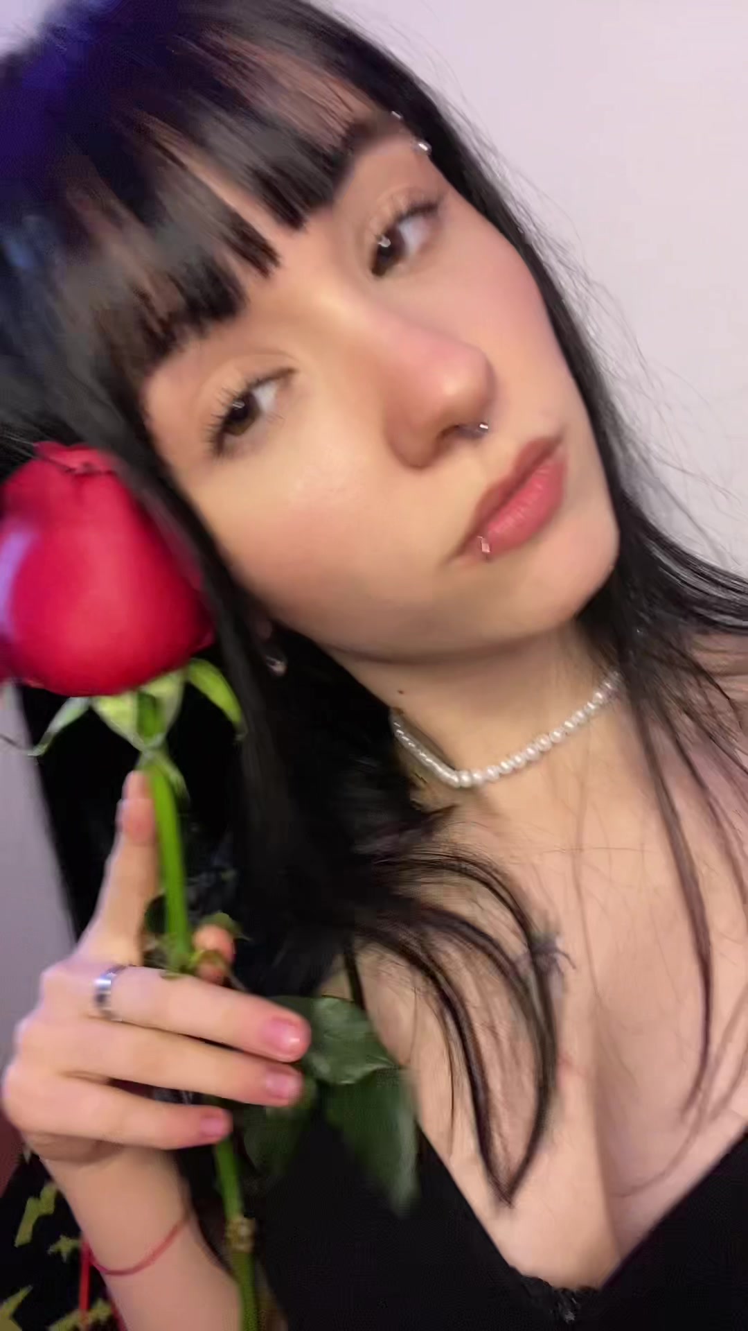 @luzdiko 🐰