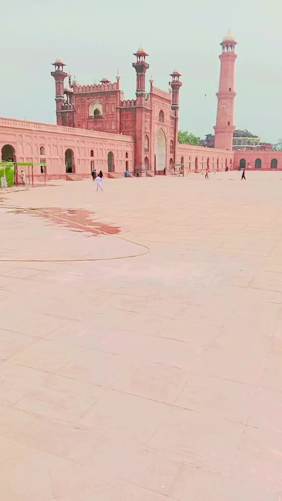 @بادشاہ لوگ