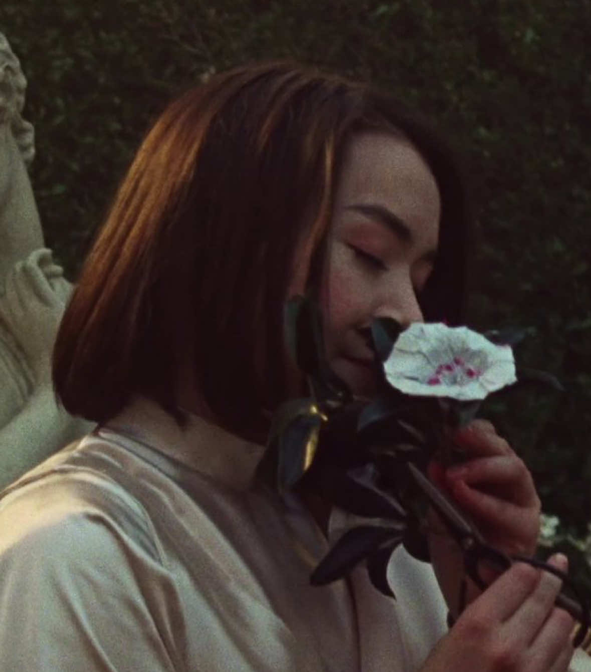 @molly ꩜ (mitski&rsquo;s version)