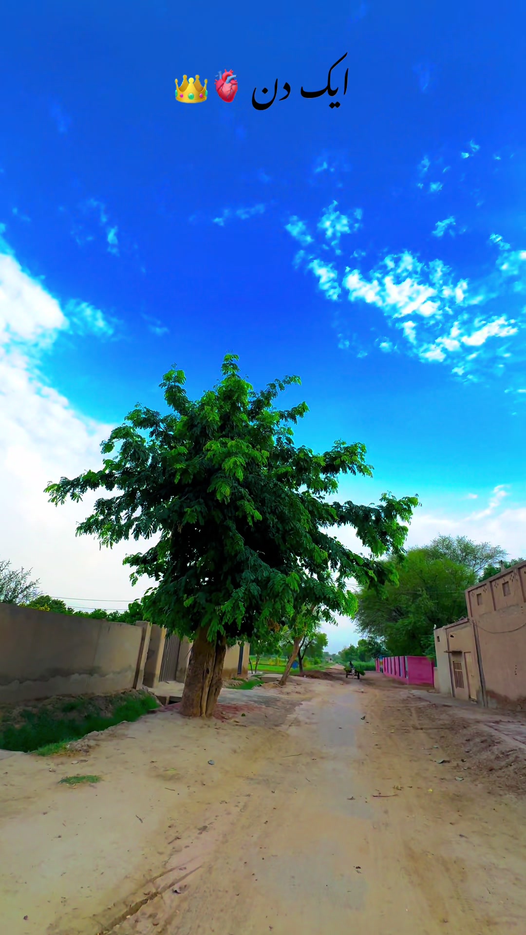 @پنجابی کلچر 🌾🍂