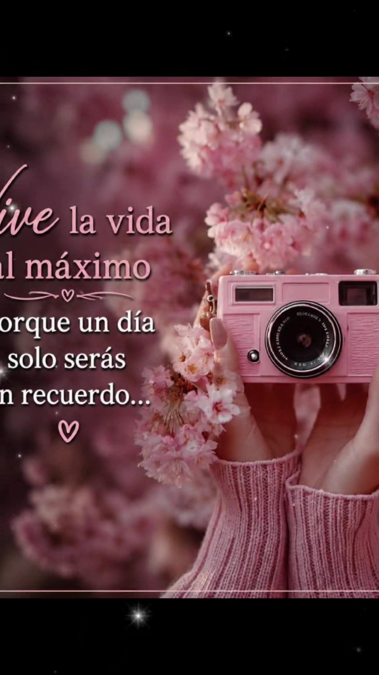 @🐼🙈Ediña14❤️🪖 🌻