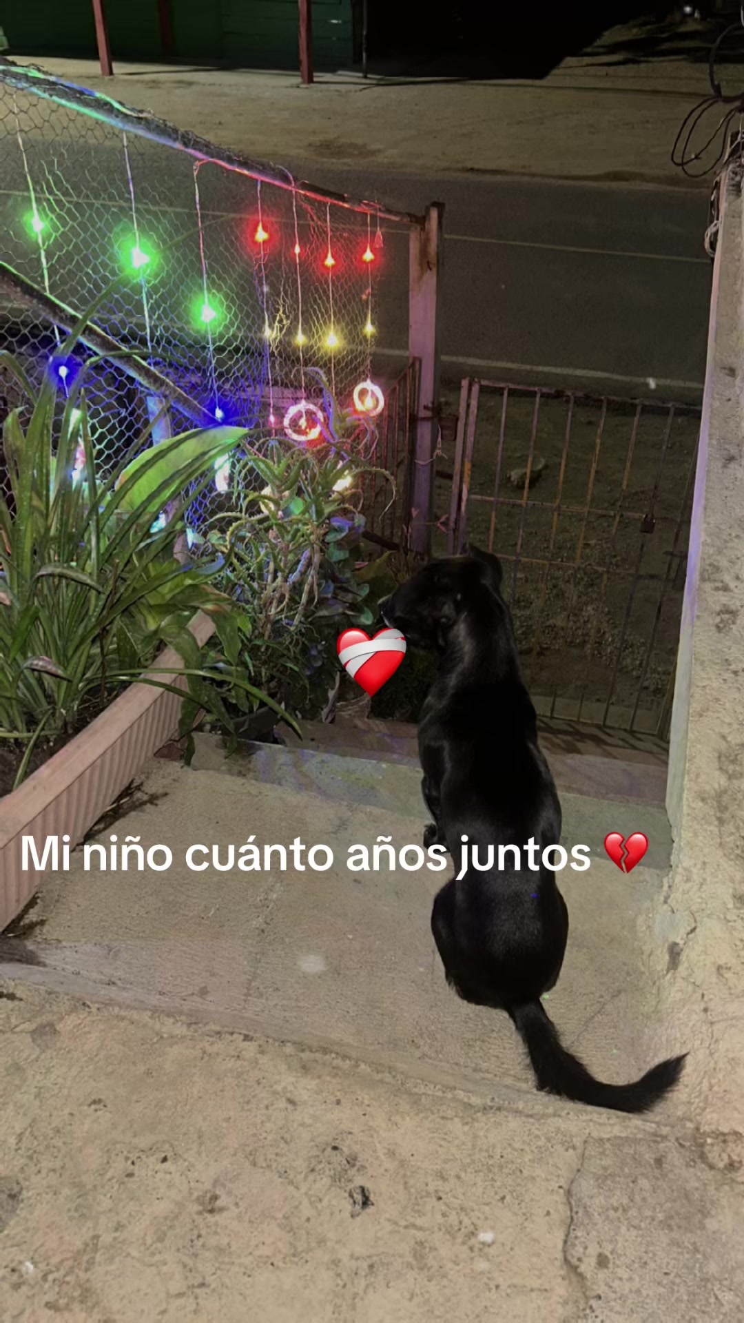 @Dlanfranco