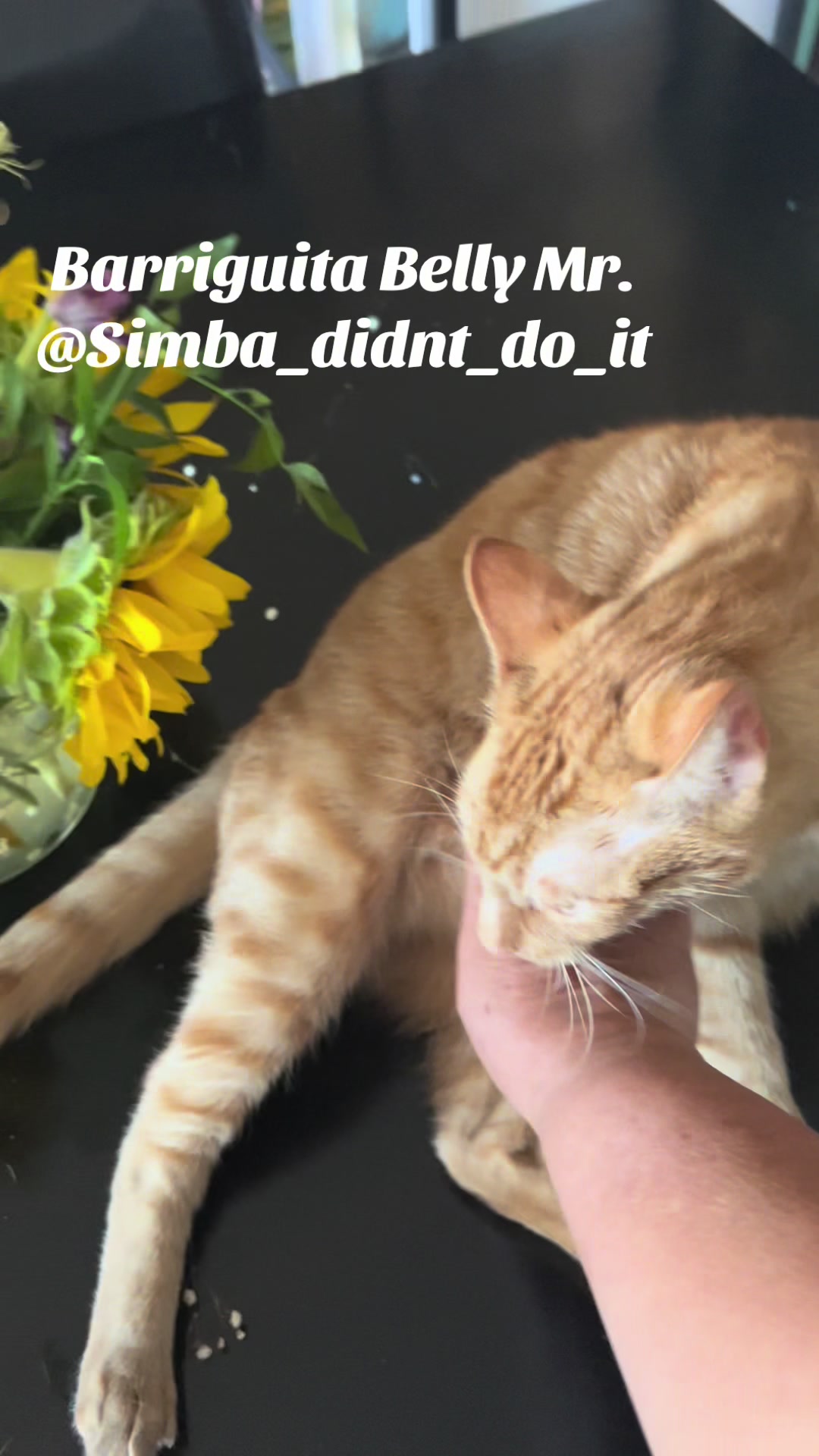 @Simba_didnt_do_it