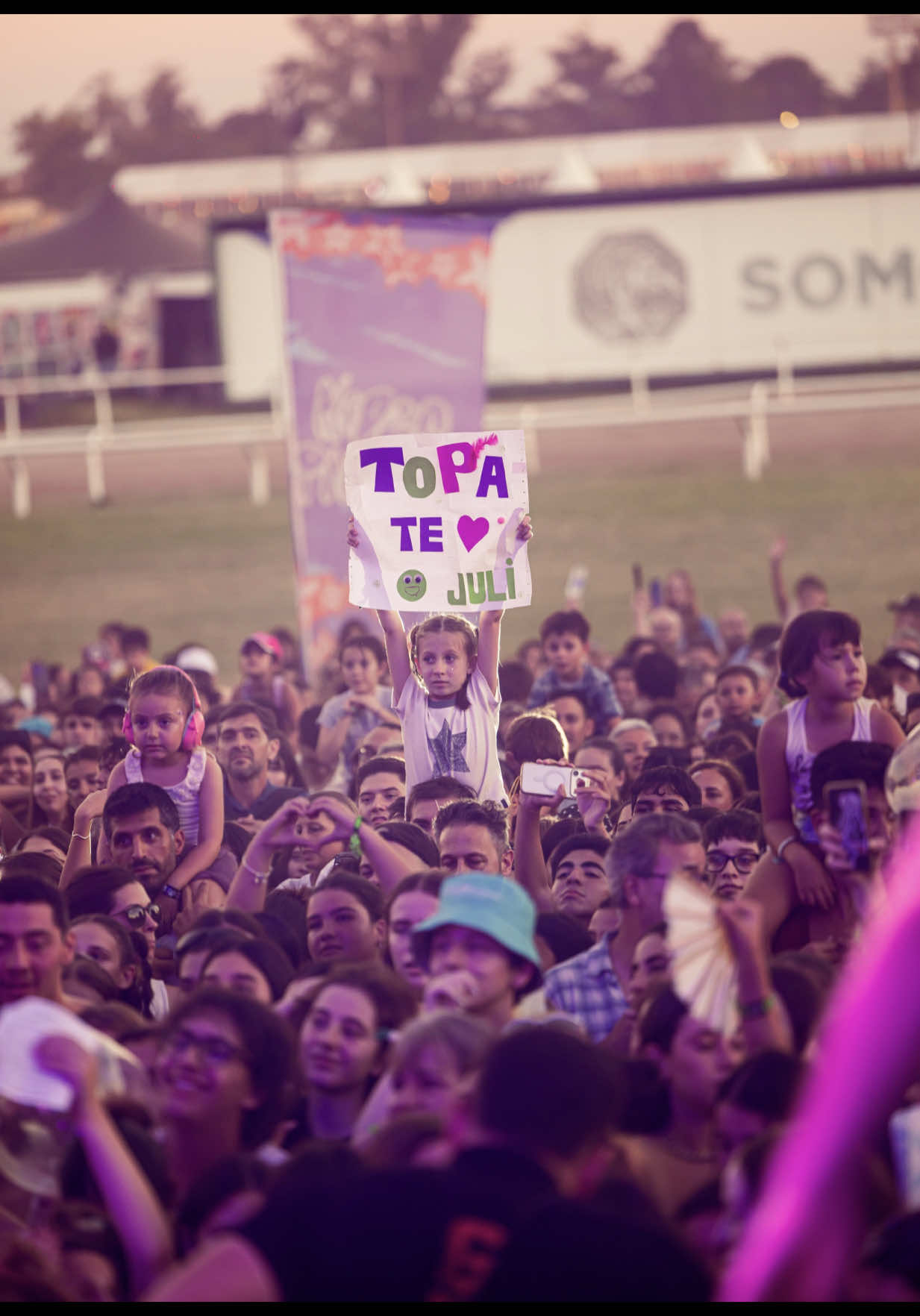 @lollapaloozaar