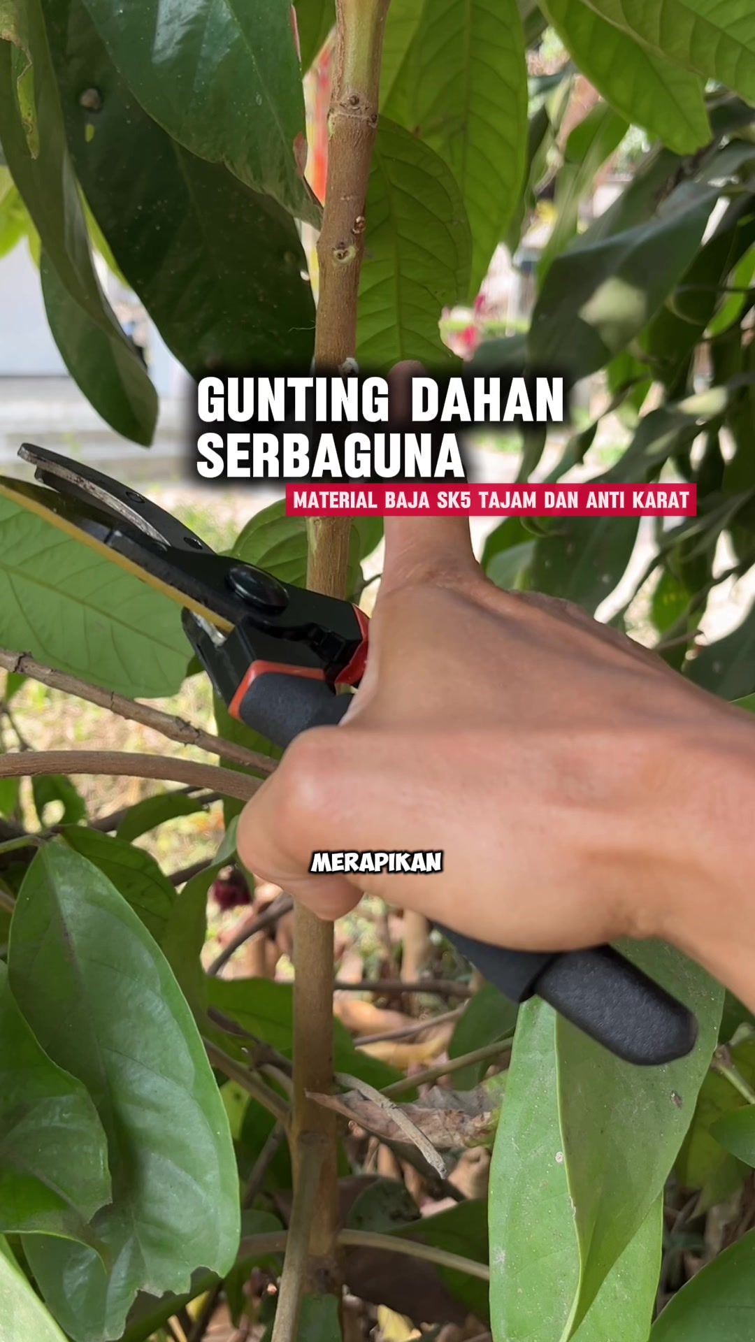 @anompriagung