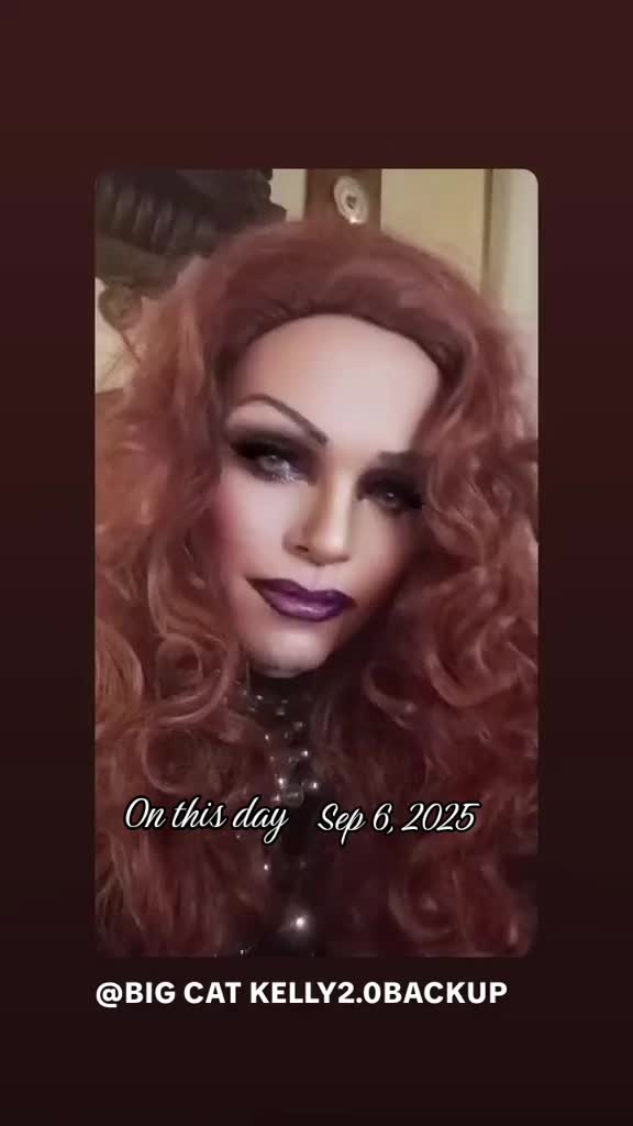 @BIG CAT KELLY2.0BACKUP&diams;️