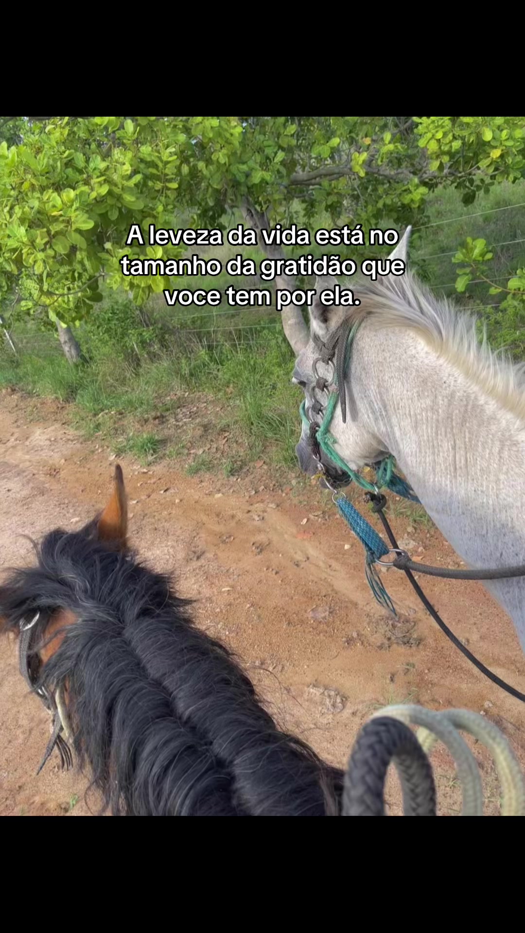 @Sara Ferraz