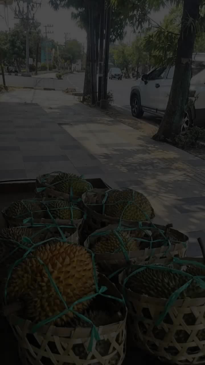 @Kenzhi Durian Tuban