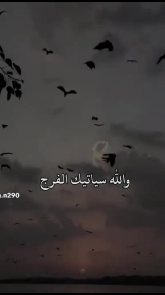 @Moha