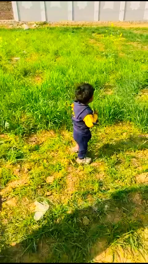 @🔥👑The King of Chakwal👑🔥