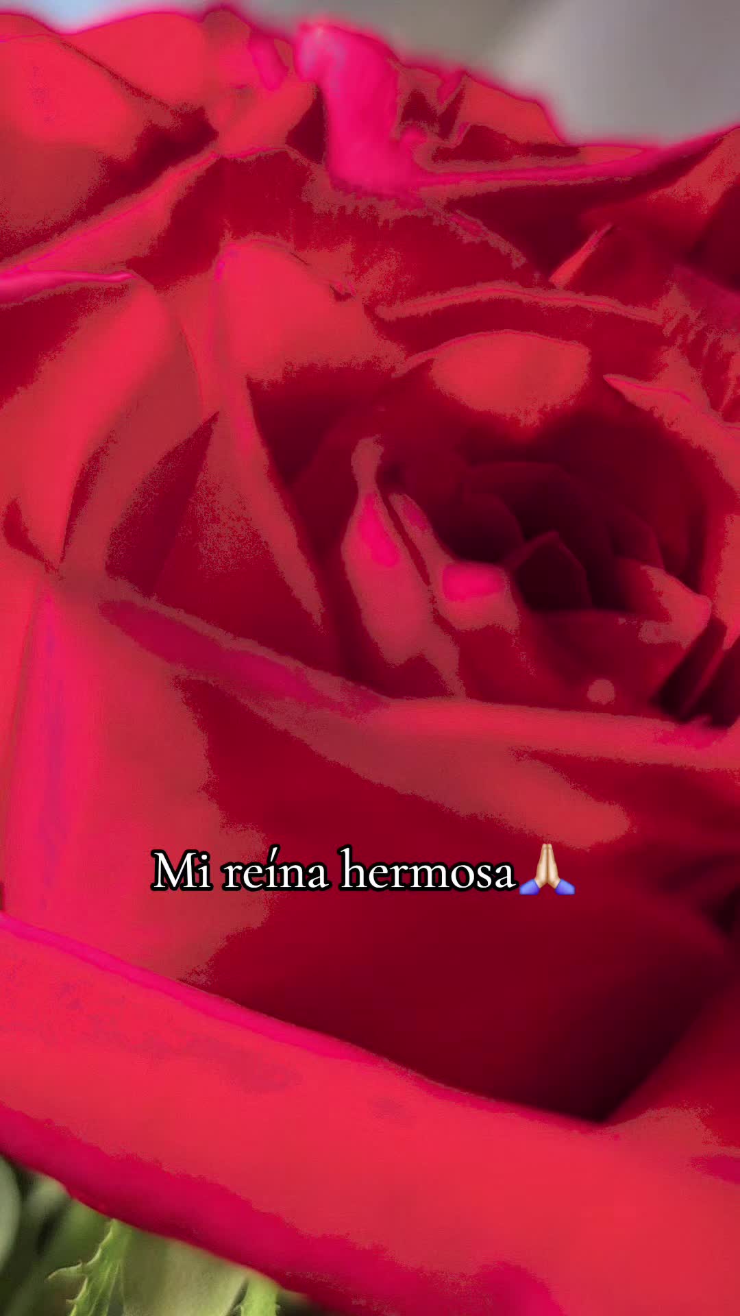@Ąllison Esquivel ✨️
