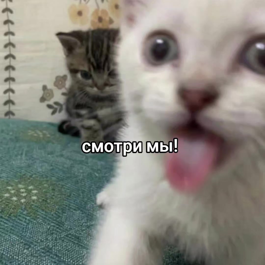 @тгк:aisurum