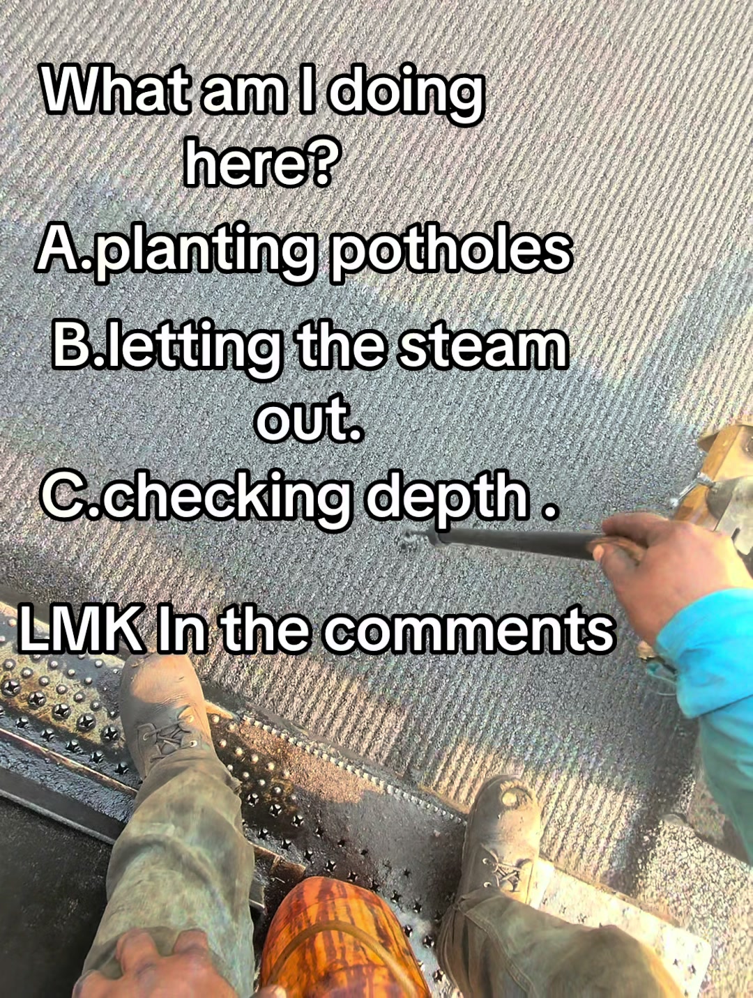 @CALIBOI559