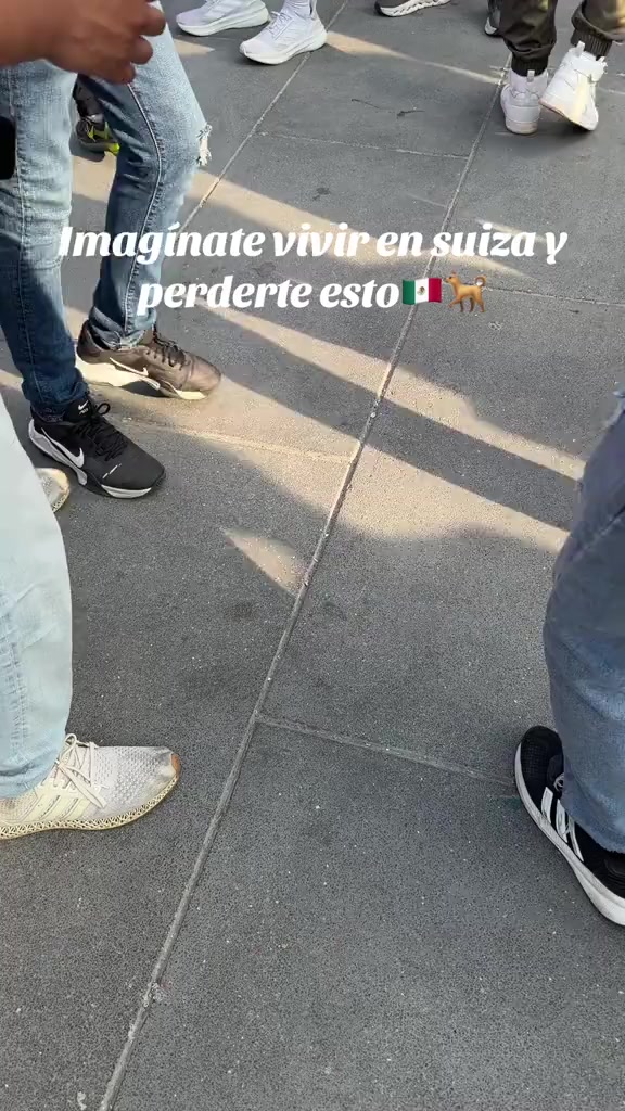 @Alejandro Navarro