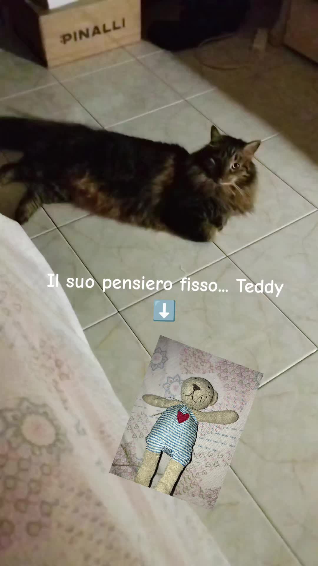 @Mary&Joy🐾❤️