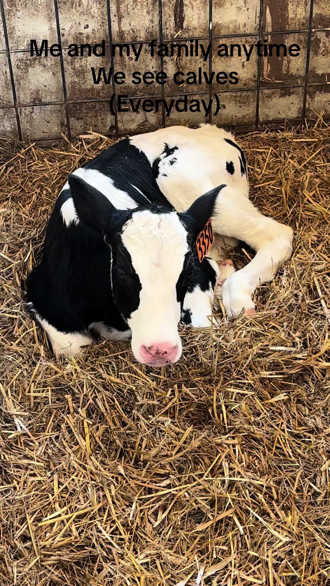 @Pingrey Family Farm LLC