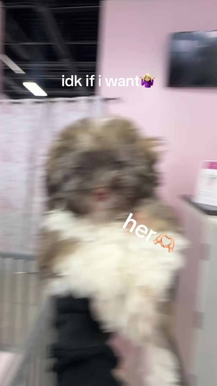 @Furry Babies
