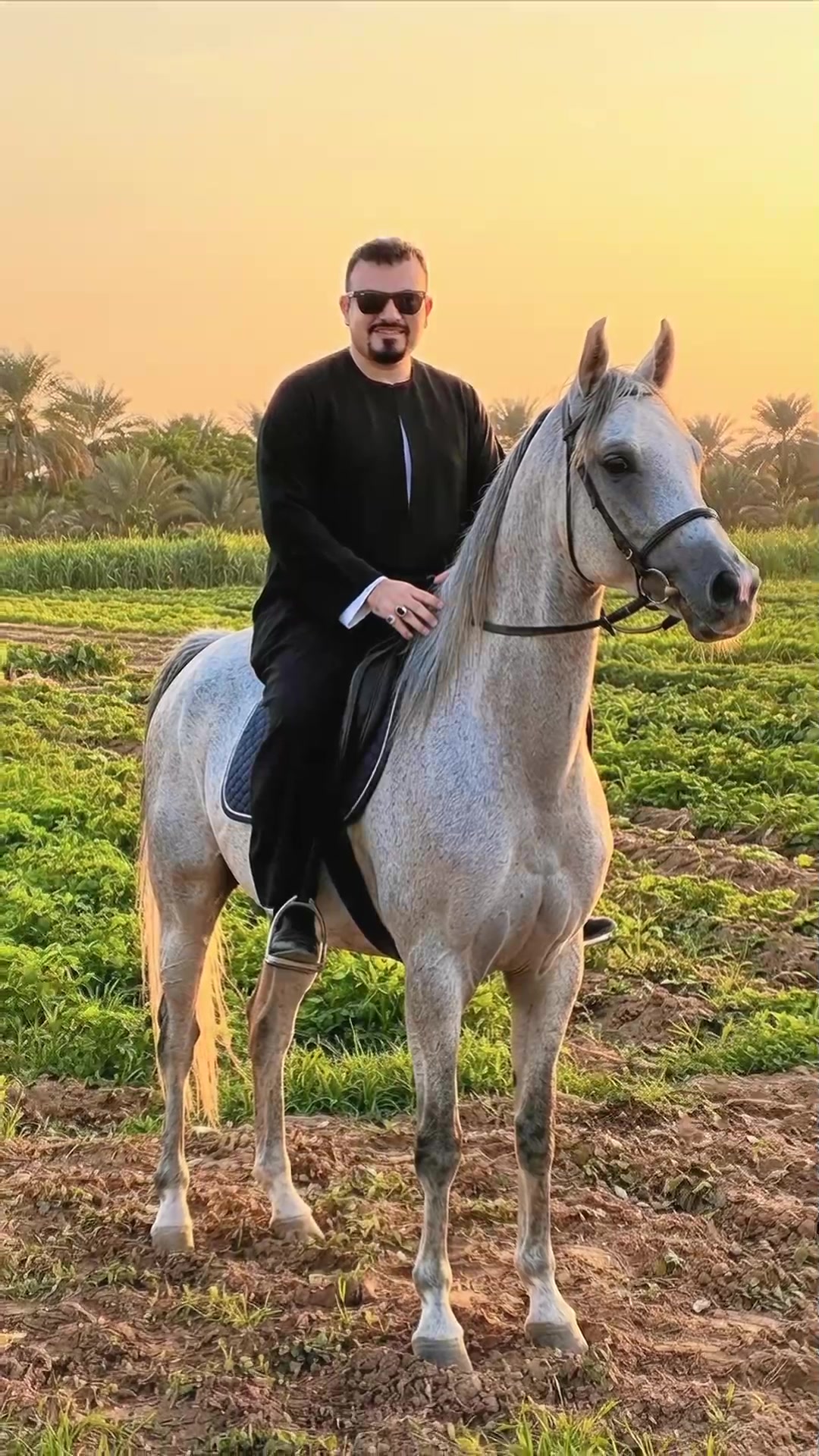 @المستشار 🦅⚖️🇪🇬⭐️