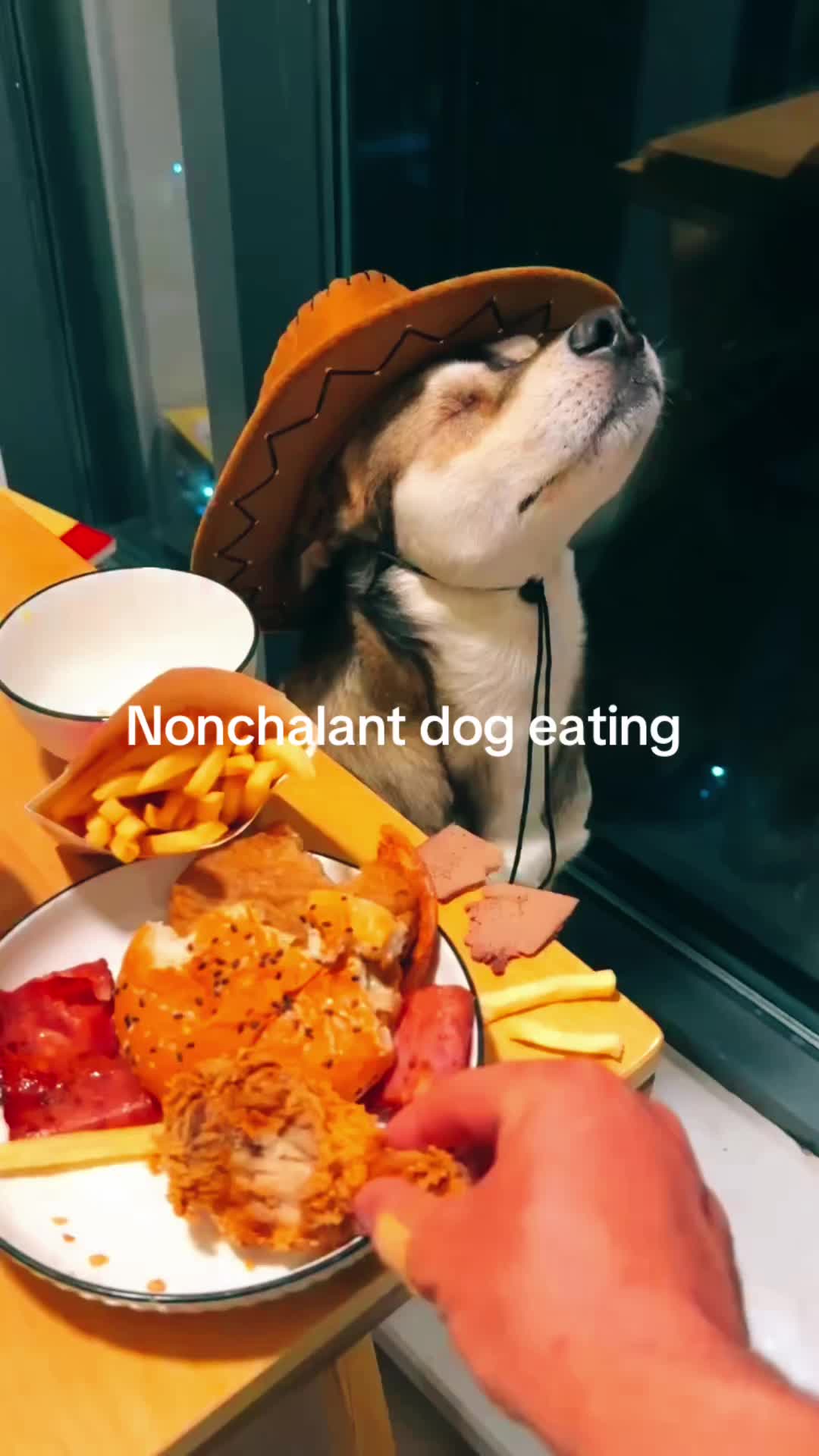 @dogalerthub