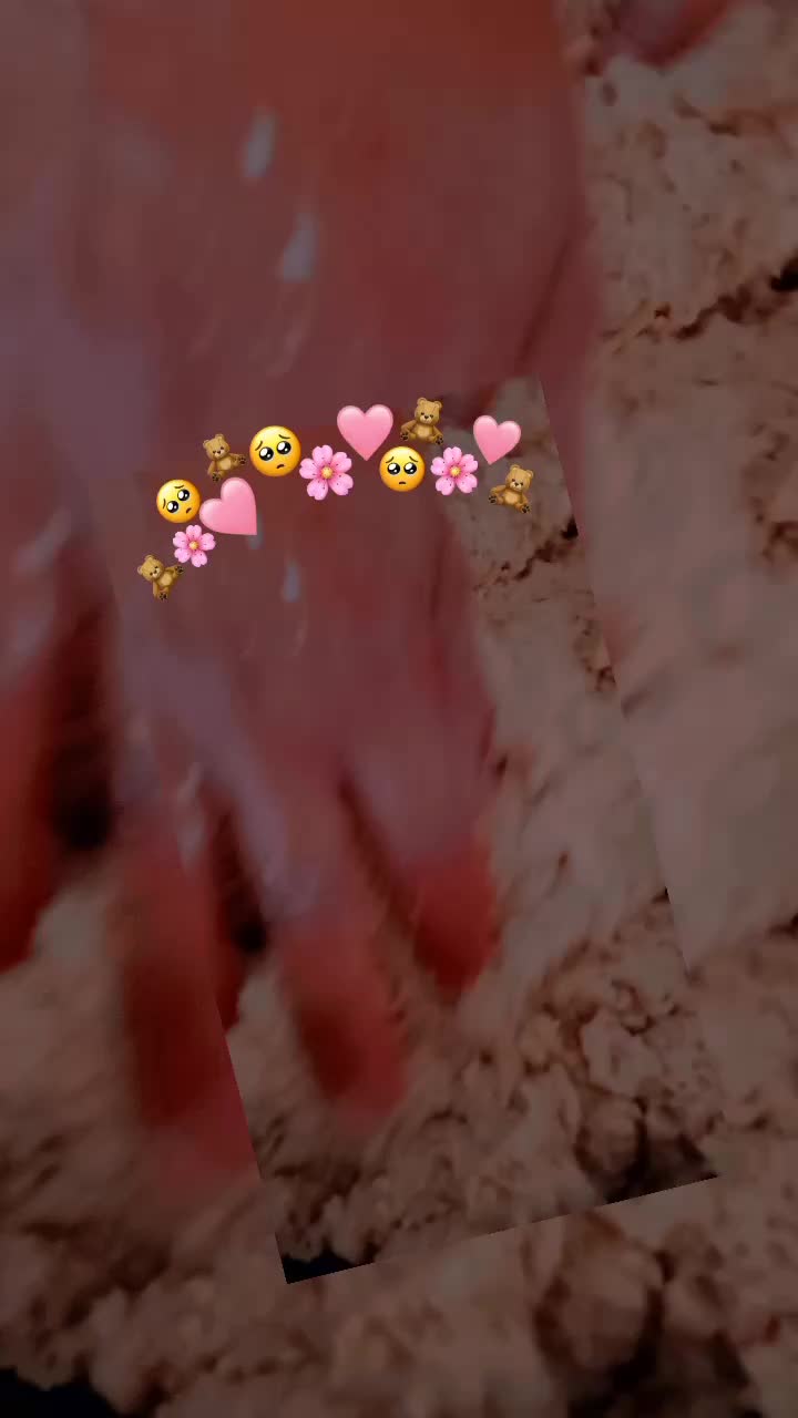 @وردة الزنبق