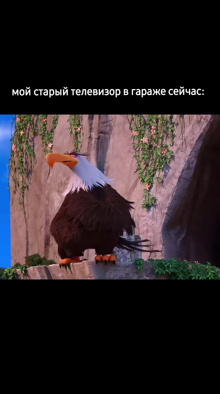 @UTC|DTC|санс🩵