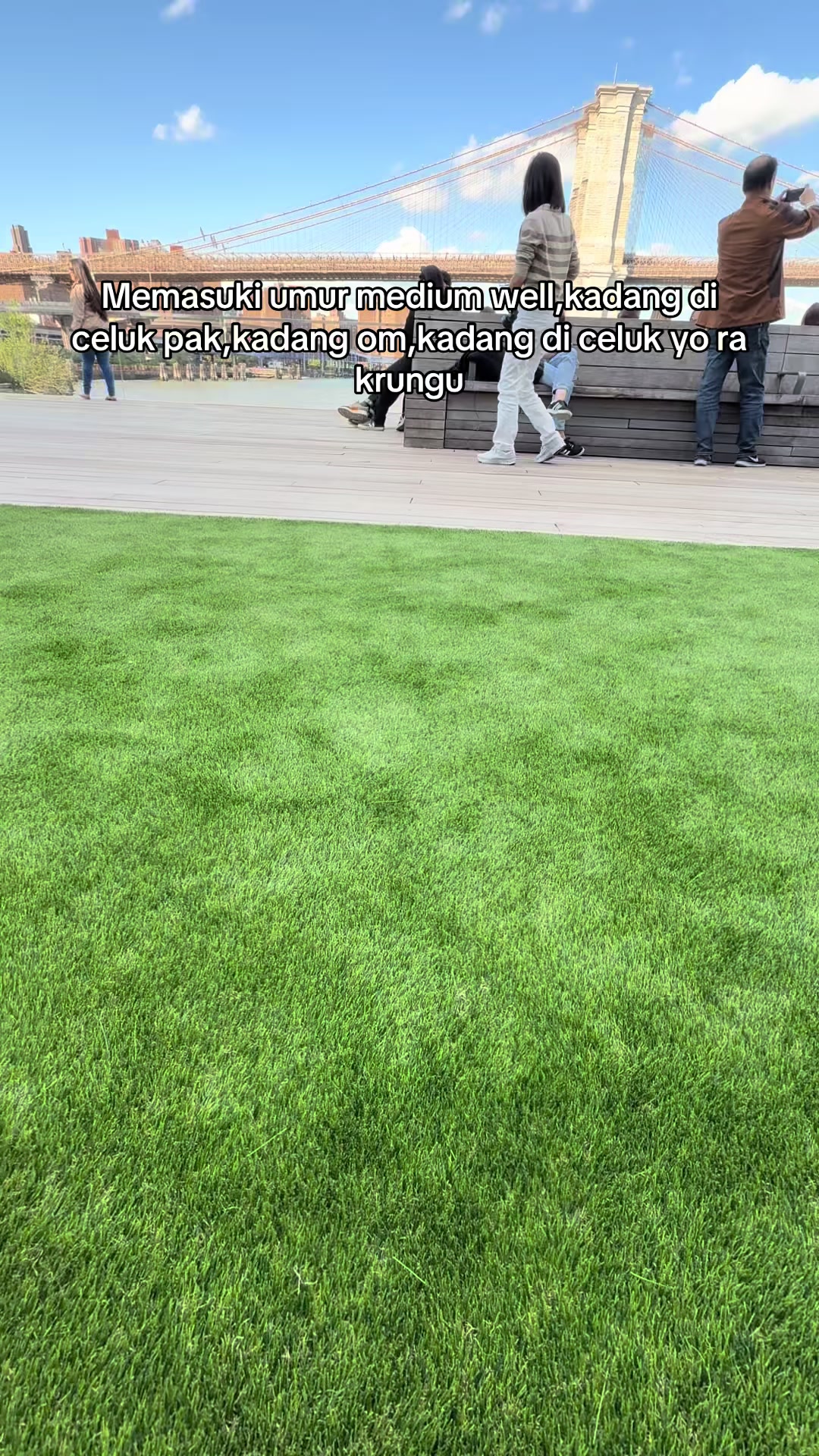 @Chef GOKU