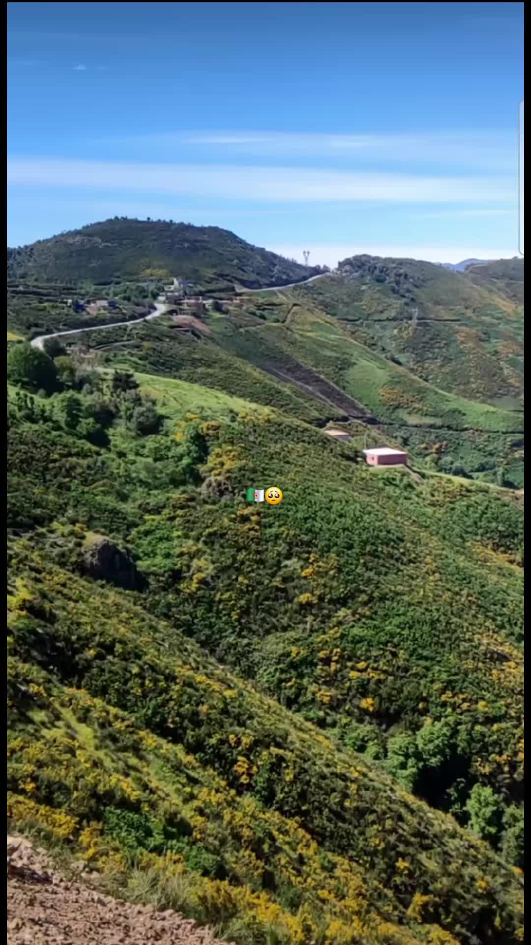 @nejma ๐ช