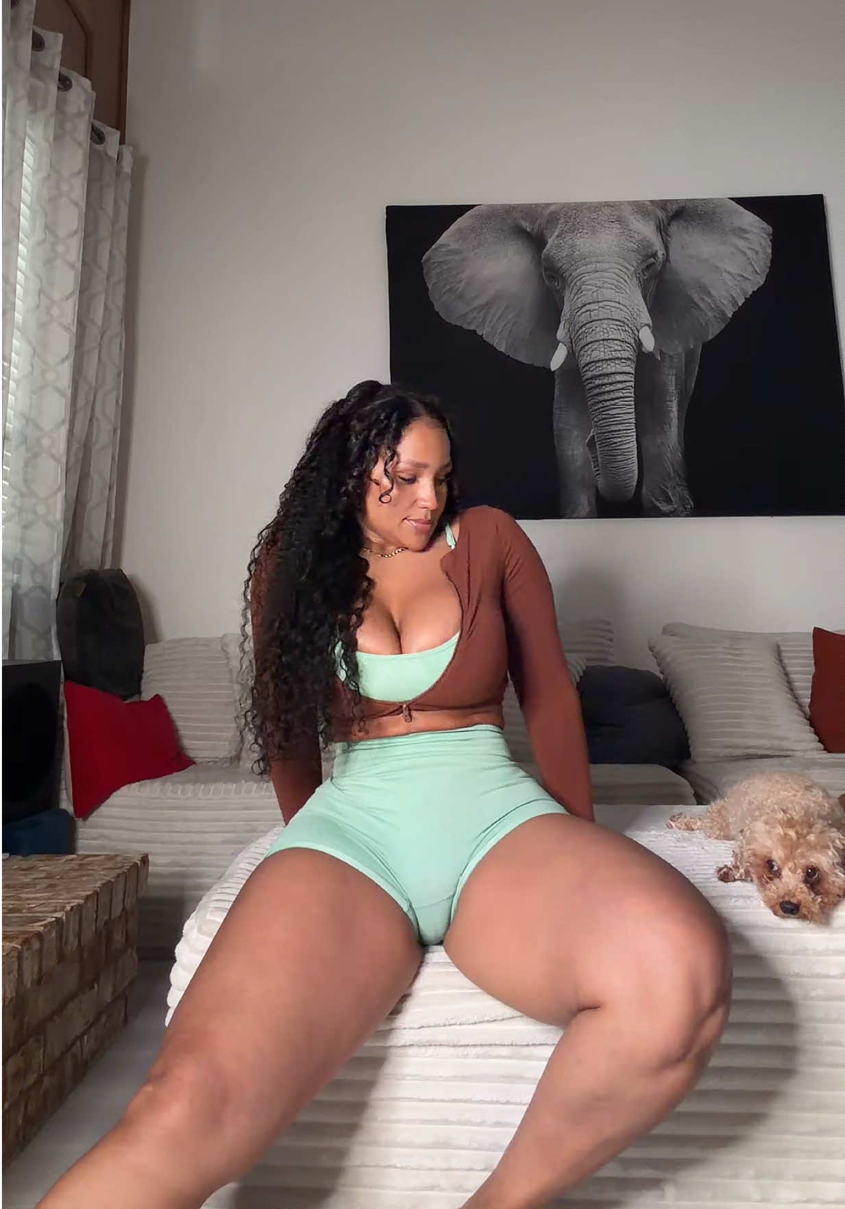 @diosagata474